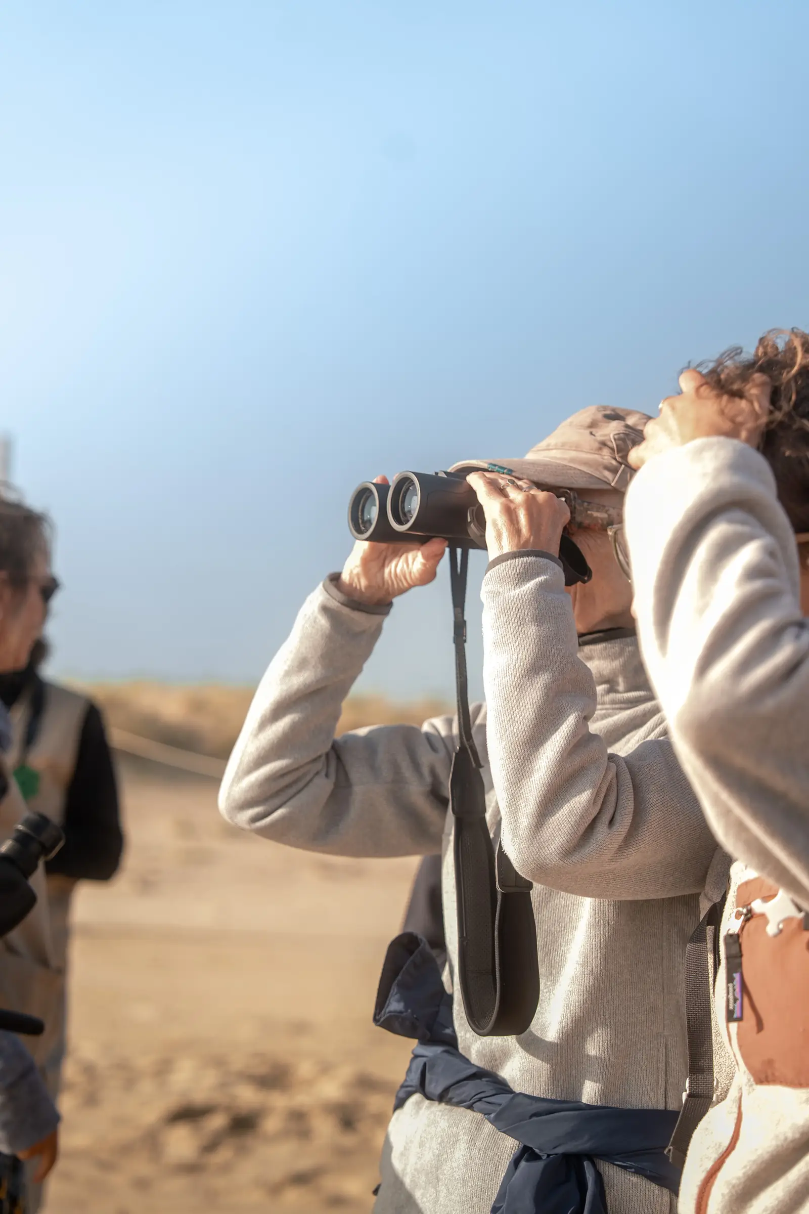 Visite guidée de la Dune du Pilat au Banc d'Arguin