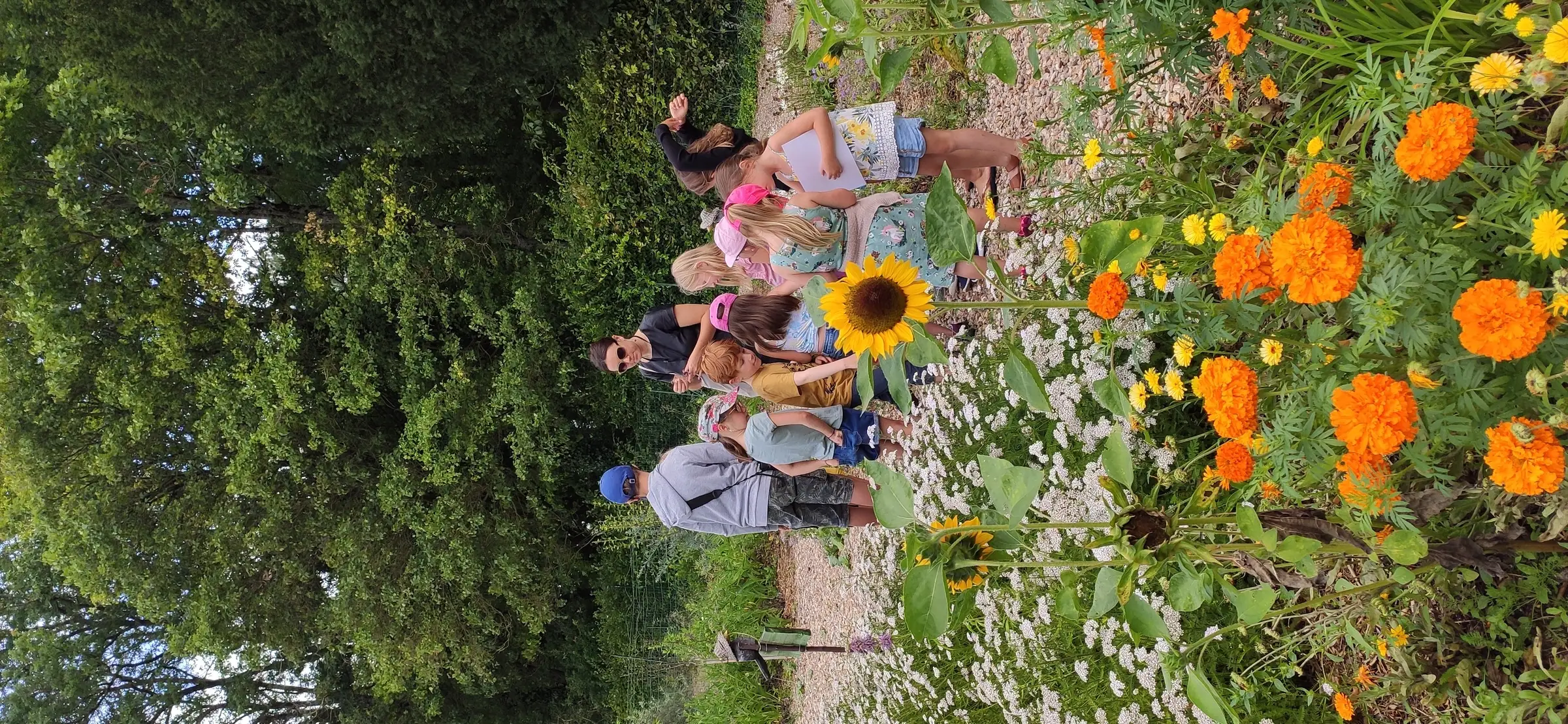 Enchantement des Plantes (6-10ans)