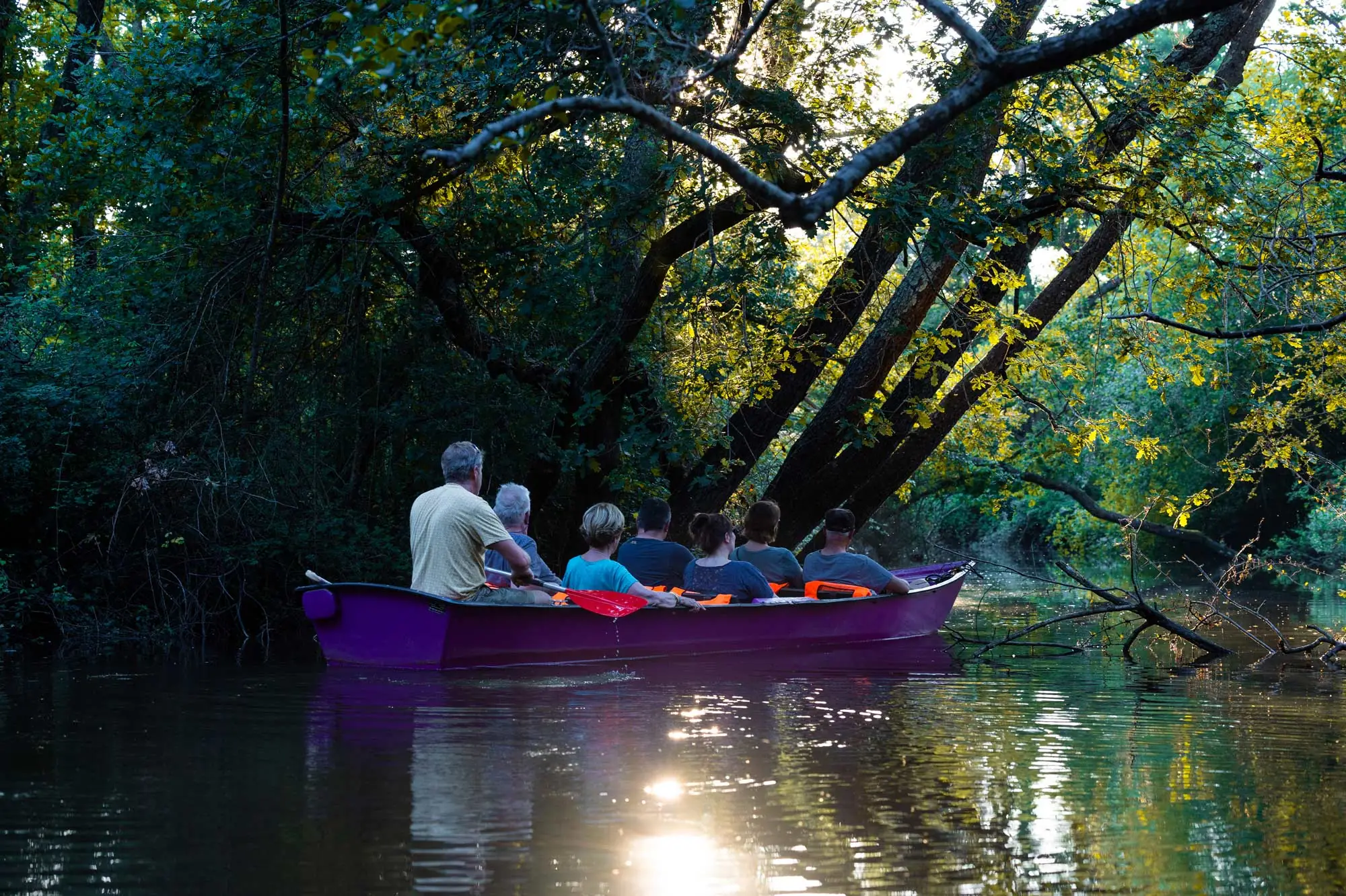 Balade au crépuscule en galupe