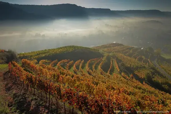 Domaine Laurens