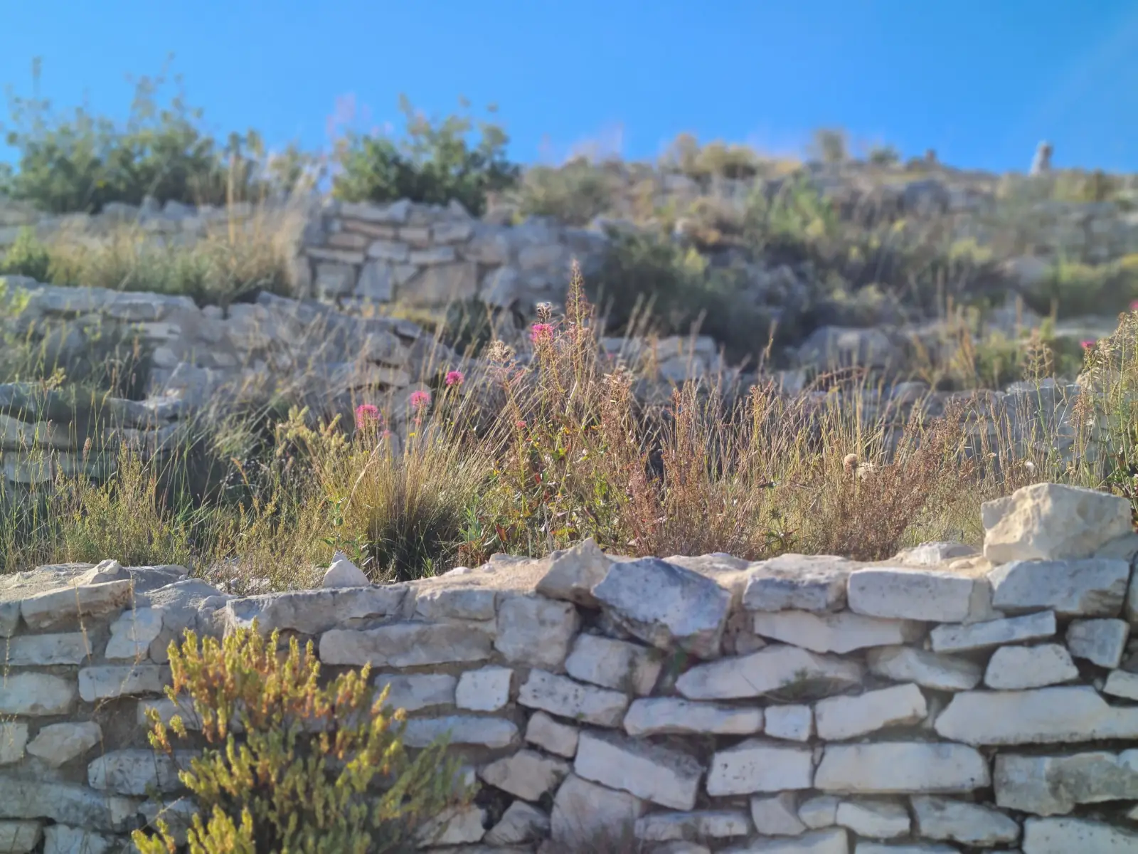 Oppidum de Verduron