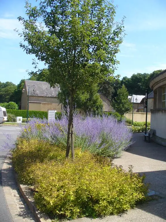 REMILLY AILLICOURT, Village Fleuri "2 Fleurs"