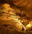 Pack Découverte visite des grottes de la Norée / Atelier scientifique de l'Ecole de l'ADN