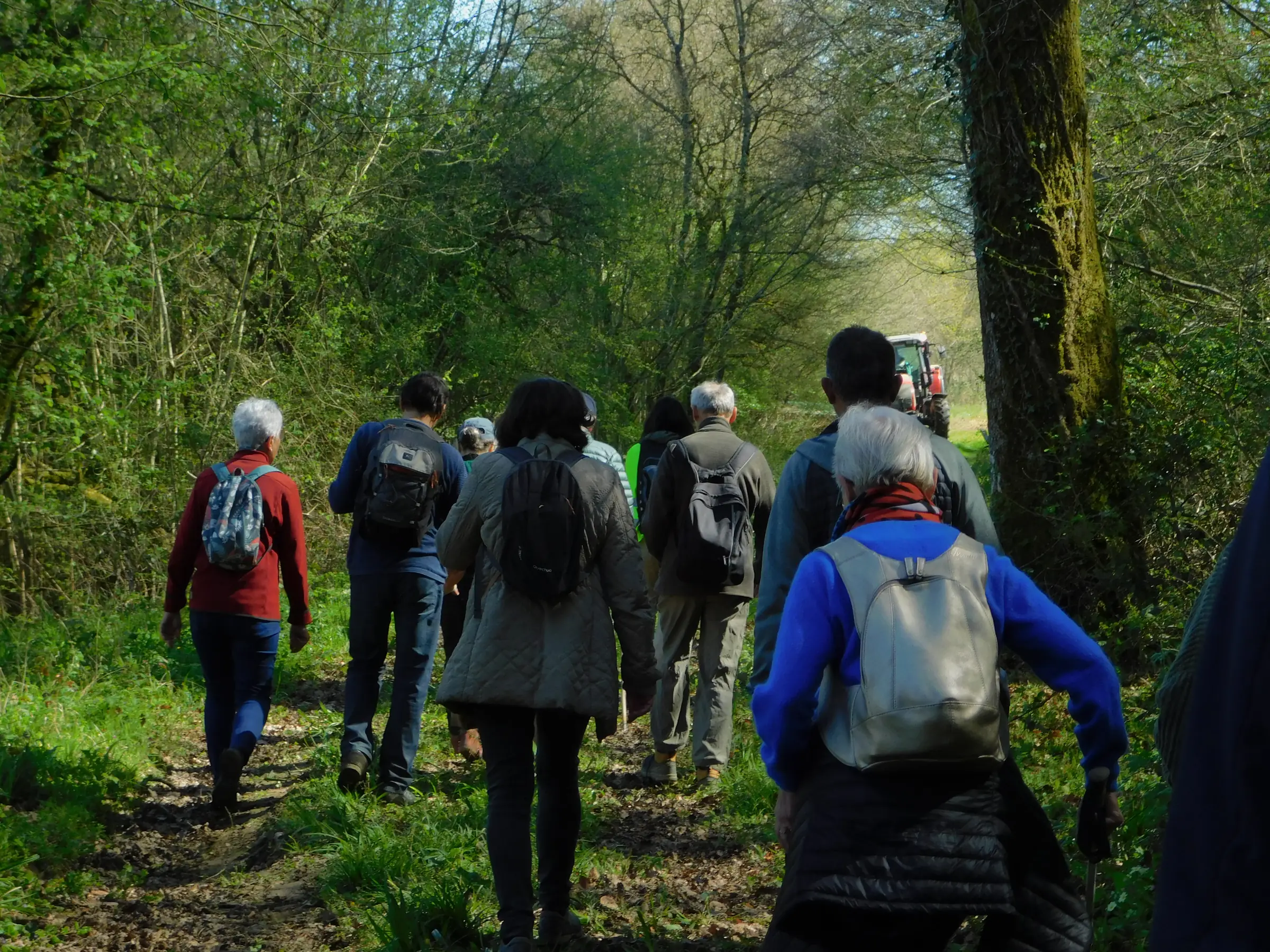 Visite du site archéologique via le sentier des Grottes du Pape