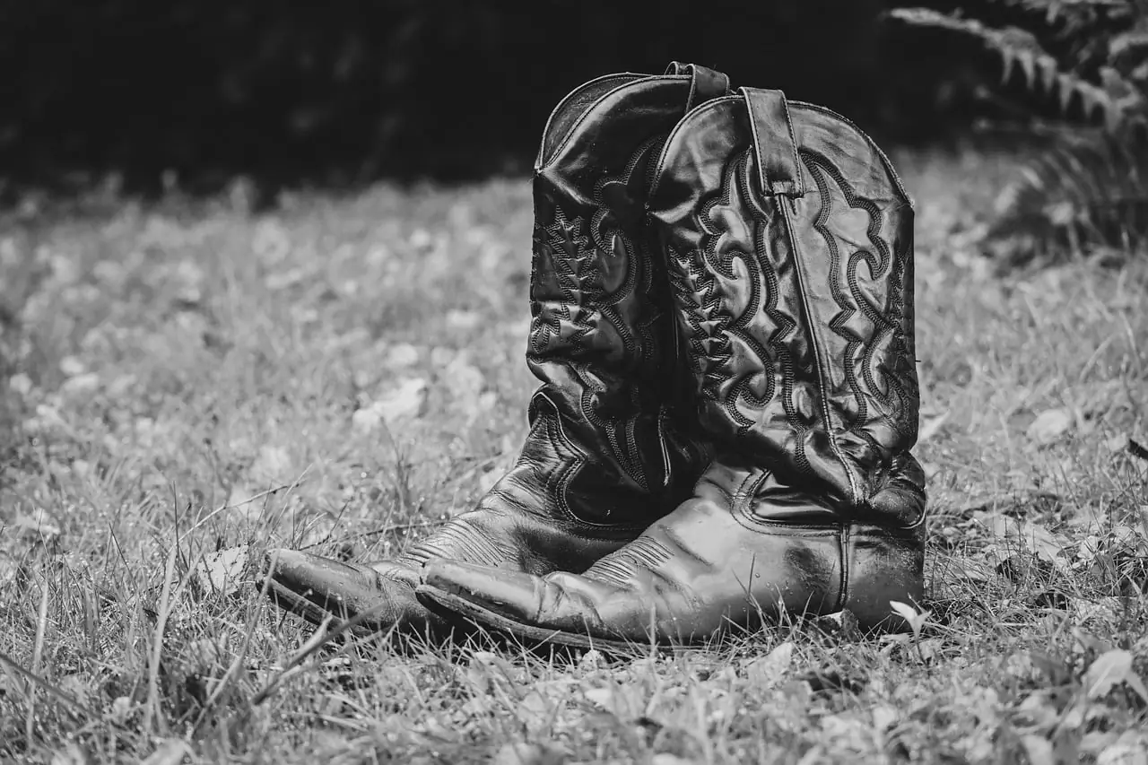Concert au marché fermier: 50/50 et démonstration de country