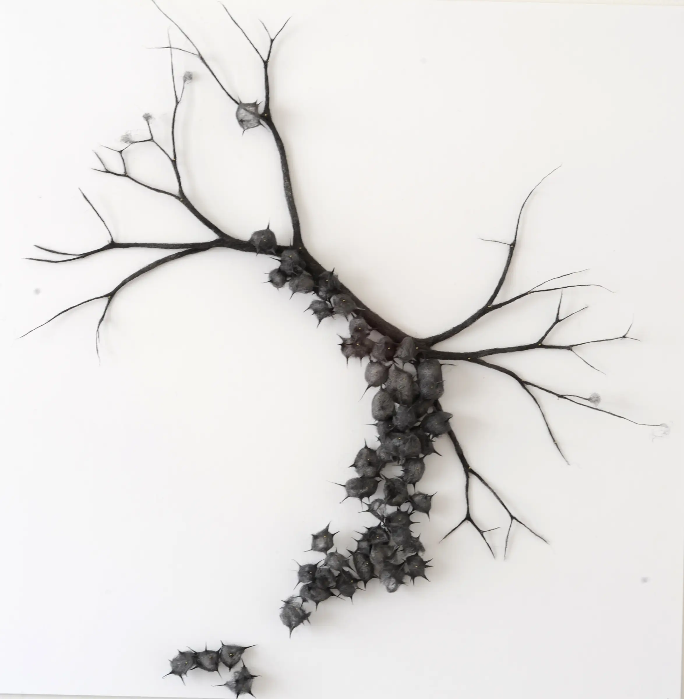 Exposition "Affinités Biomorphiques" - Art Contemporain