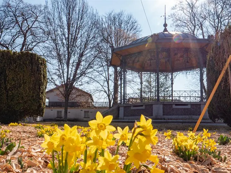 Le kiosque Pierre Didier