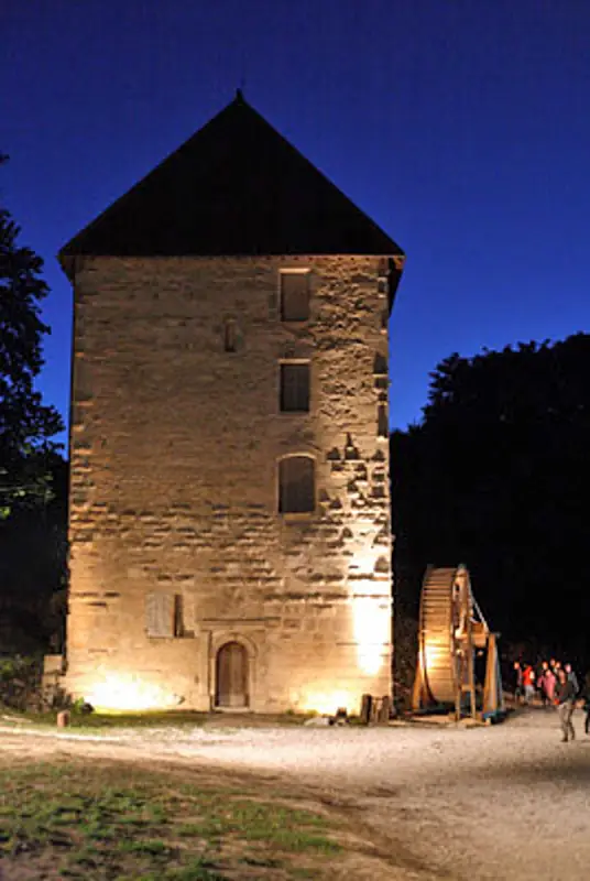 Château de Vignory