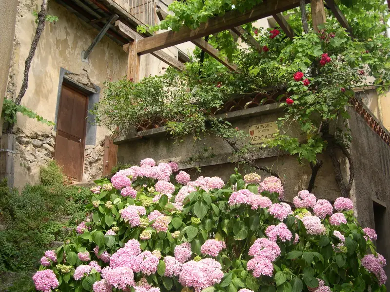 VISITE GUIDÉE DU VILLAGE DE VERNET-LES-BAINS