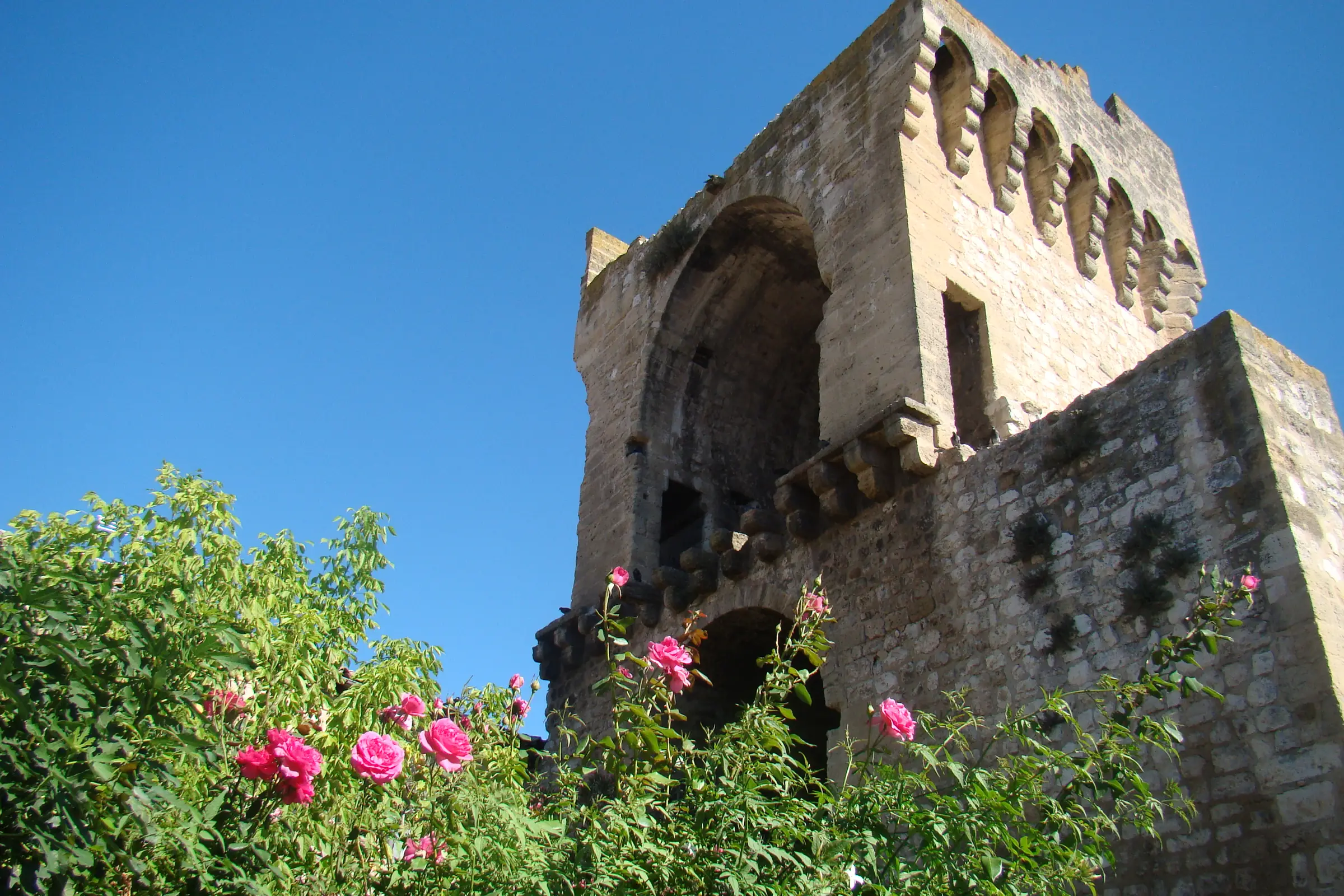 La Tour Saint-Jacques