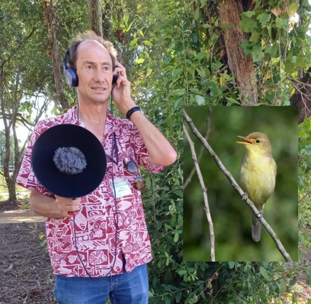 Les chants d'oiseaux des Barthes