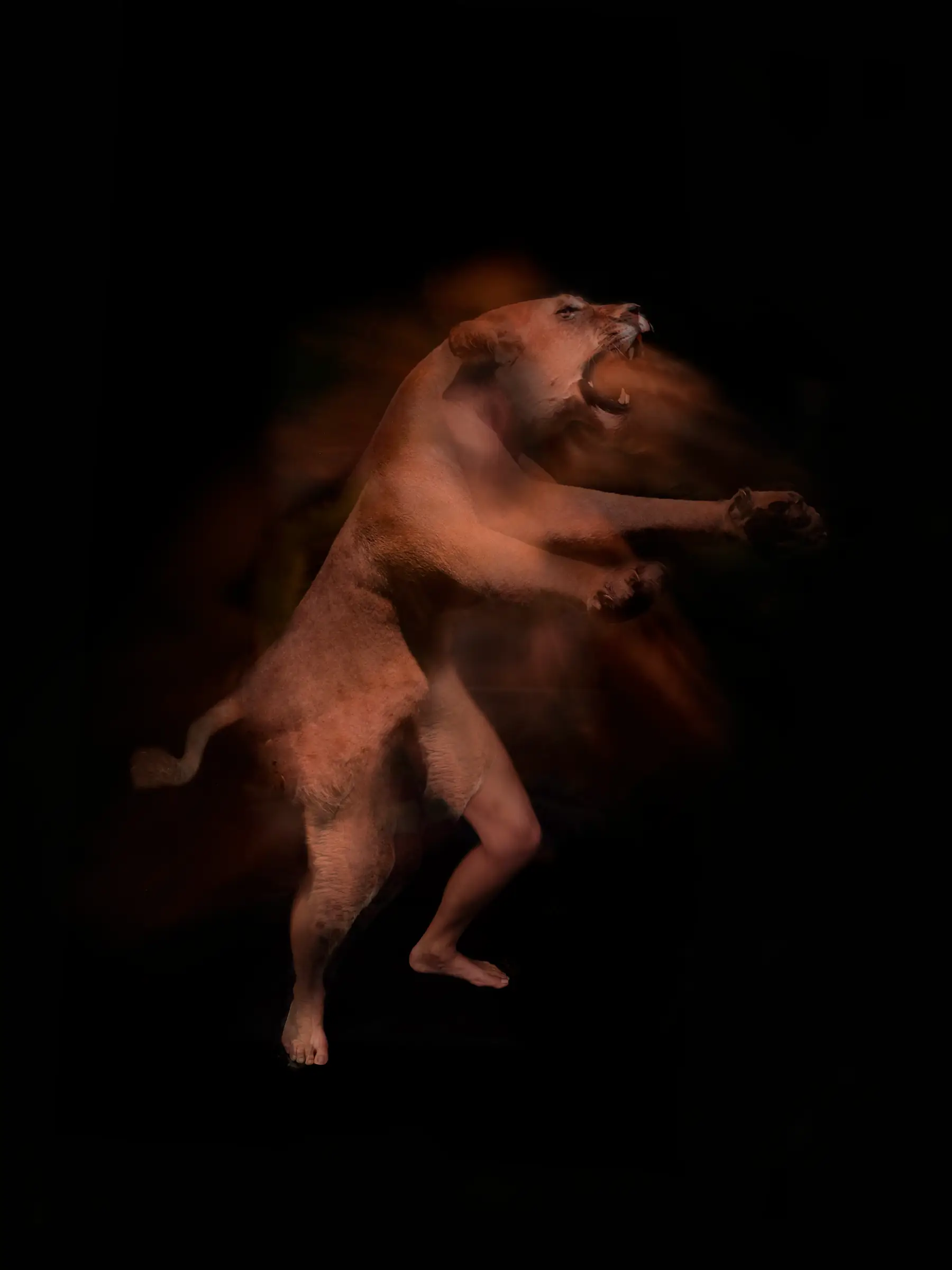 Exposition de photographies de Sandie Louit
