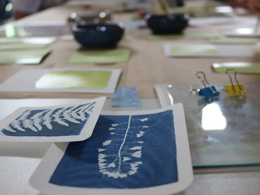 Atelier cyanotypes
