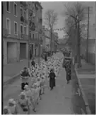 EXPOSITIONS PHOTOS - LES "FÊTES" À LANGOGNE