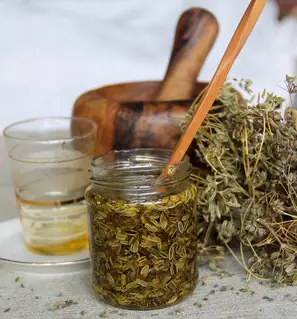 Ateliers-cueillettes de plantes sauvages