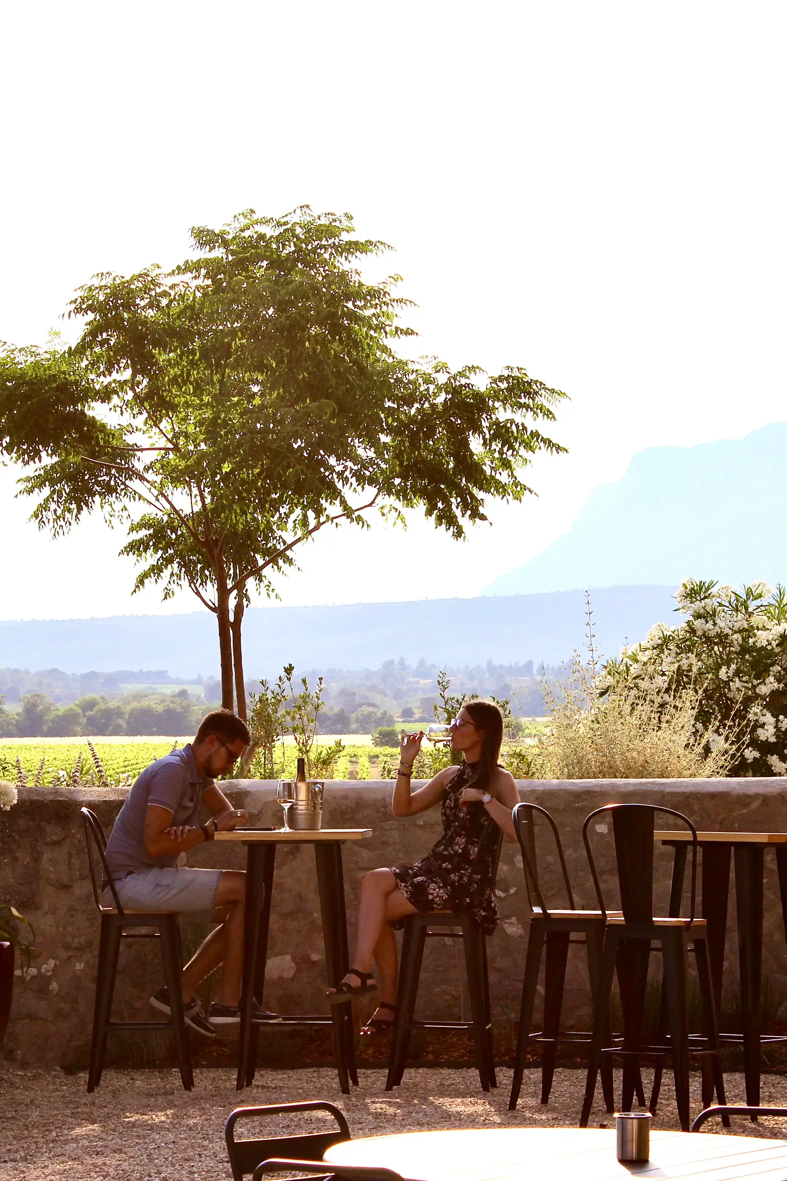 Rendez-vous dans les vignes