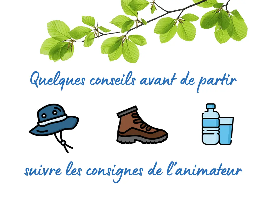 Randonnée pédestre avec "Les Godillots de Saint-Marc"