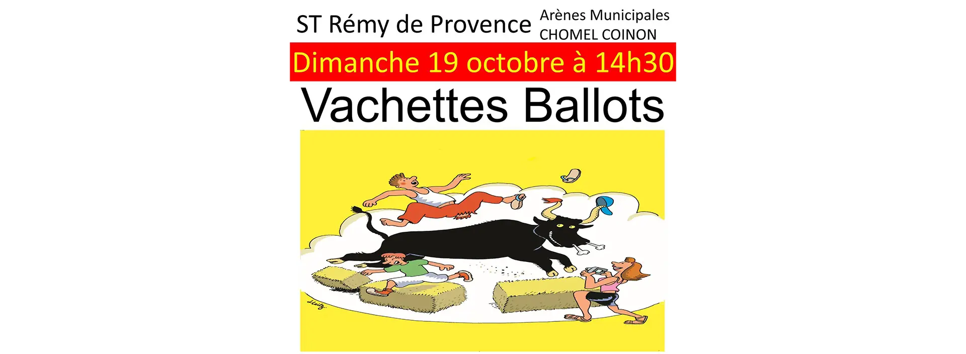 Vachettes Ballots