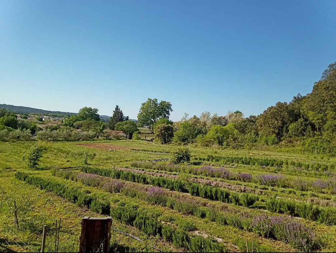 Visite et dégustation à la Siroterie du Pic