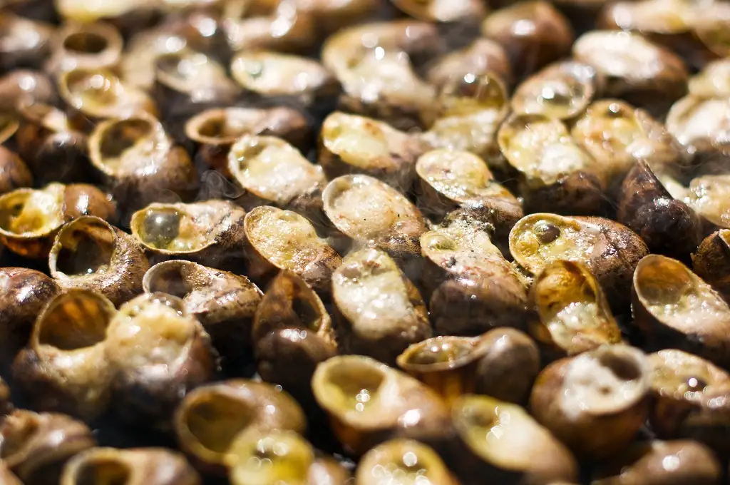 LA FÊTE DE L'ESCARGOT