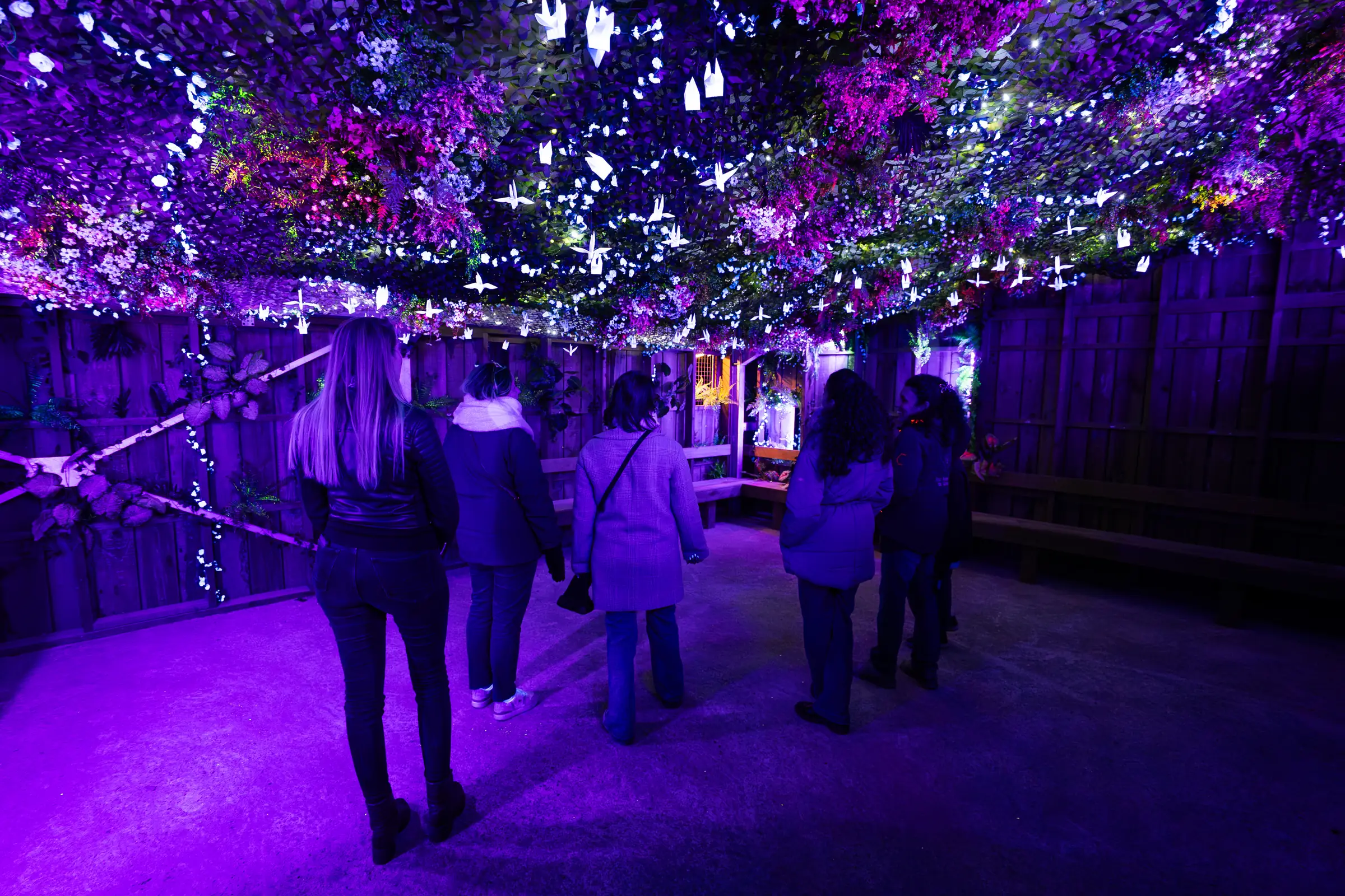 Visions Nocturnes au Parc Animalier