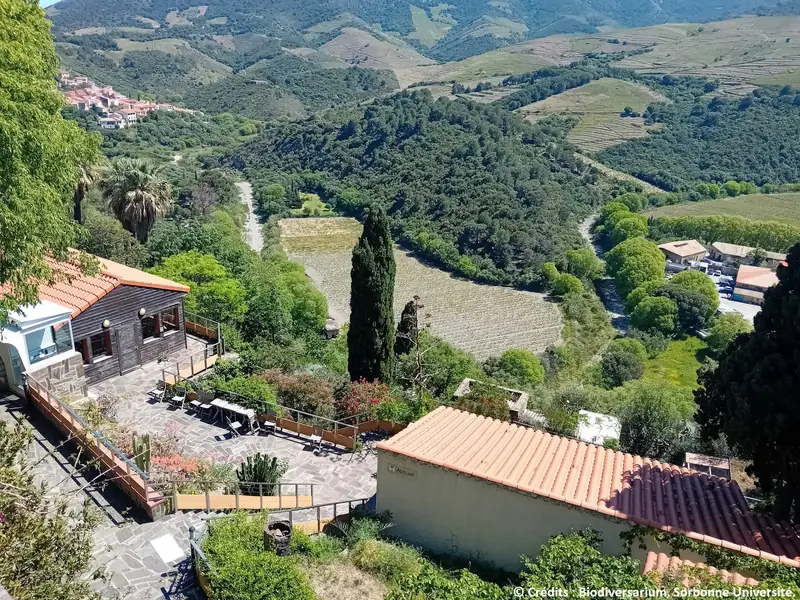 BIODIVERSARIUM : JARDIN MEDITERRANEEN DU MAS DE LA SERRE