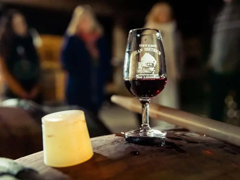 Parenthèse Vigneronne : L'art de la vinification