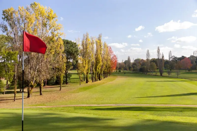Open Golf
