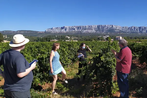 Les Vignobles au Pays de Cézanne
