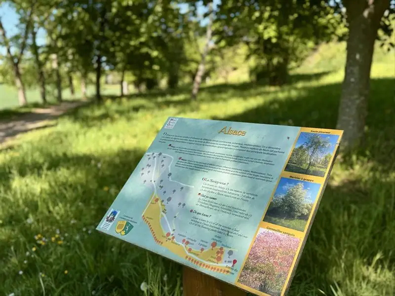 Sortie nature sur le sentier botanique