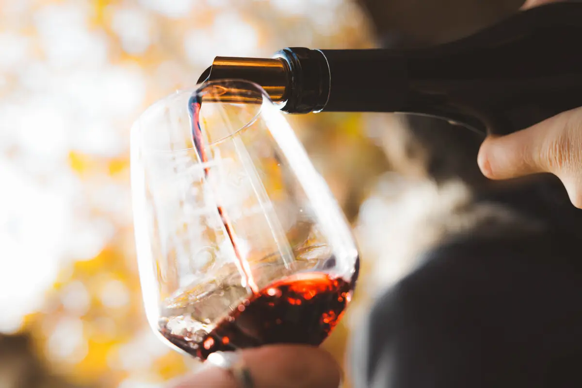 LES ACCORDS METS & VINS AU DOMAINE VILLECLARE