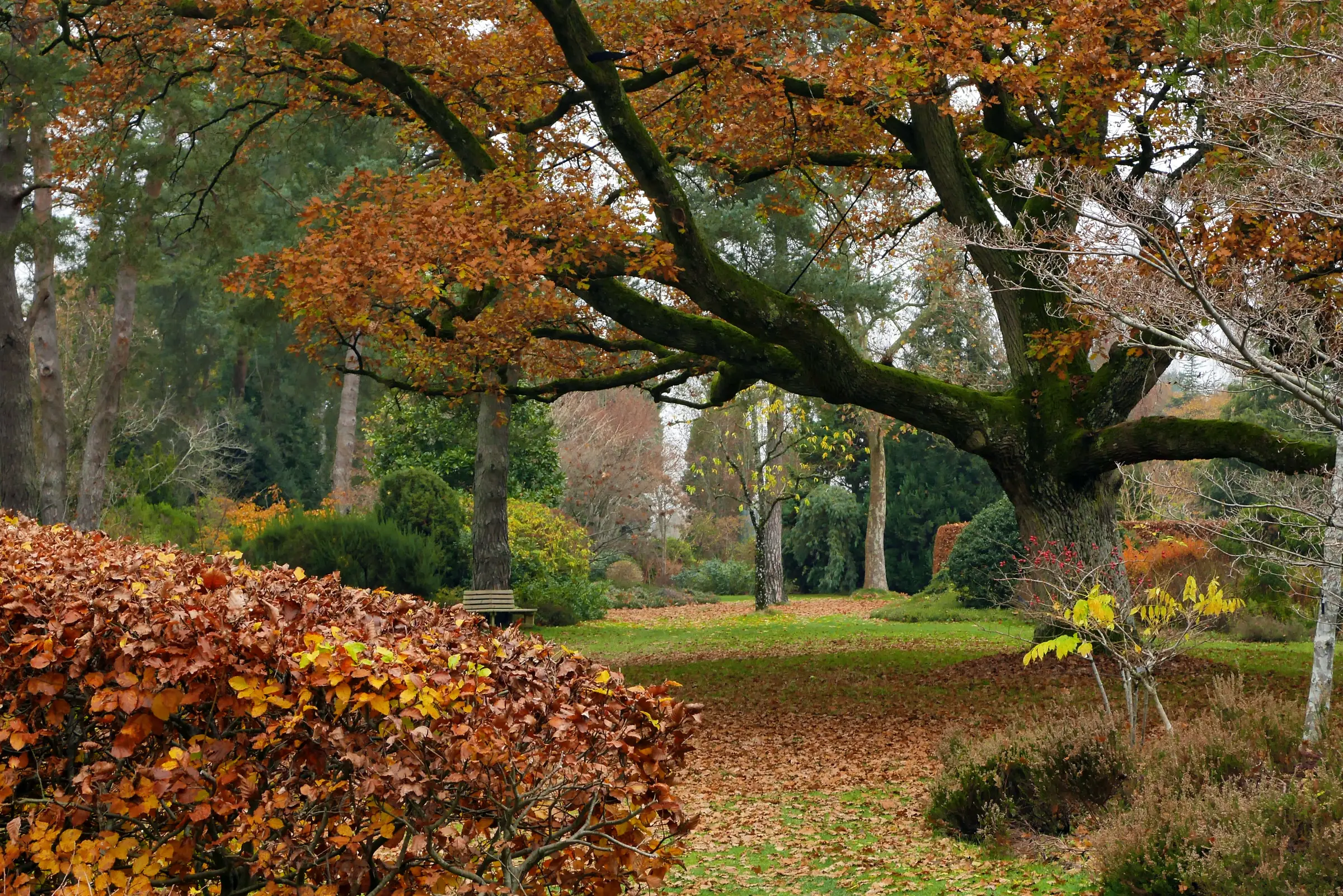Ateliers photos de jardins - niveau débutant