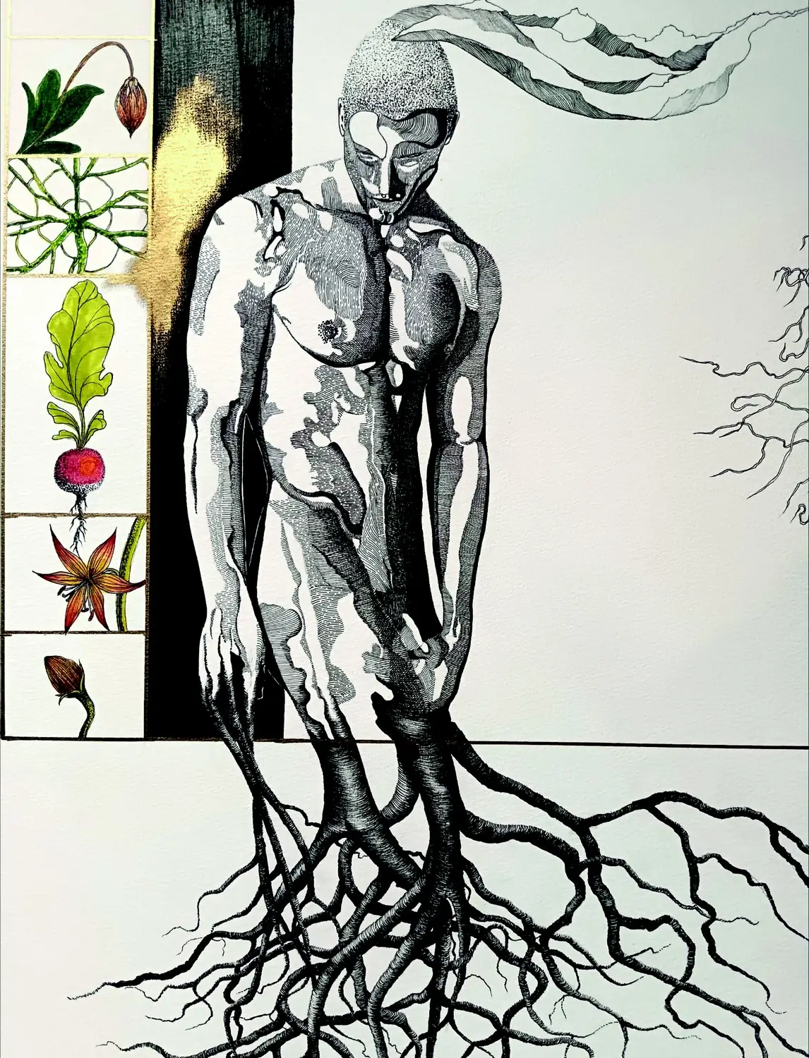 Arts visuels - Exposition au château : association Hodi