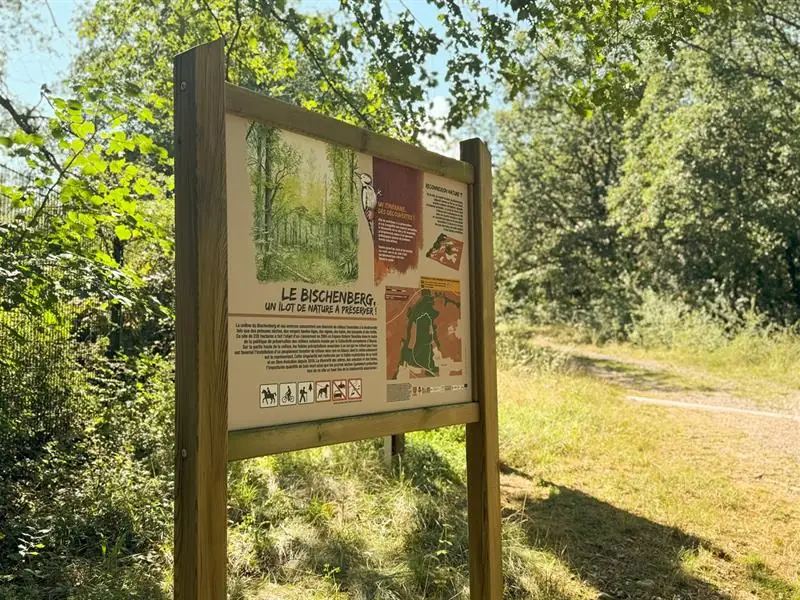 Sortie nature sur le sentier du Bischenberg