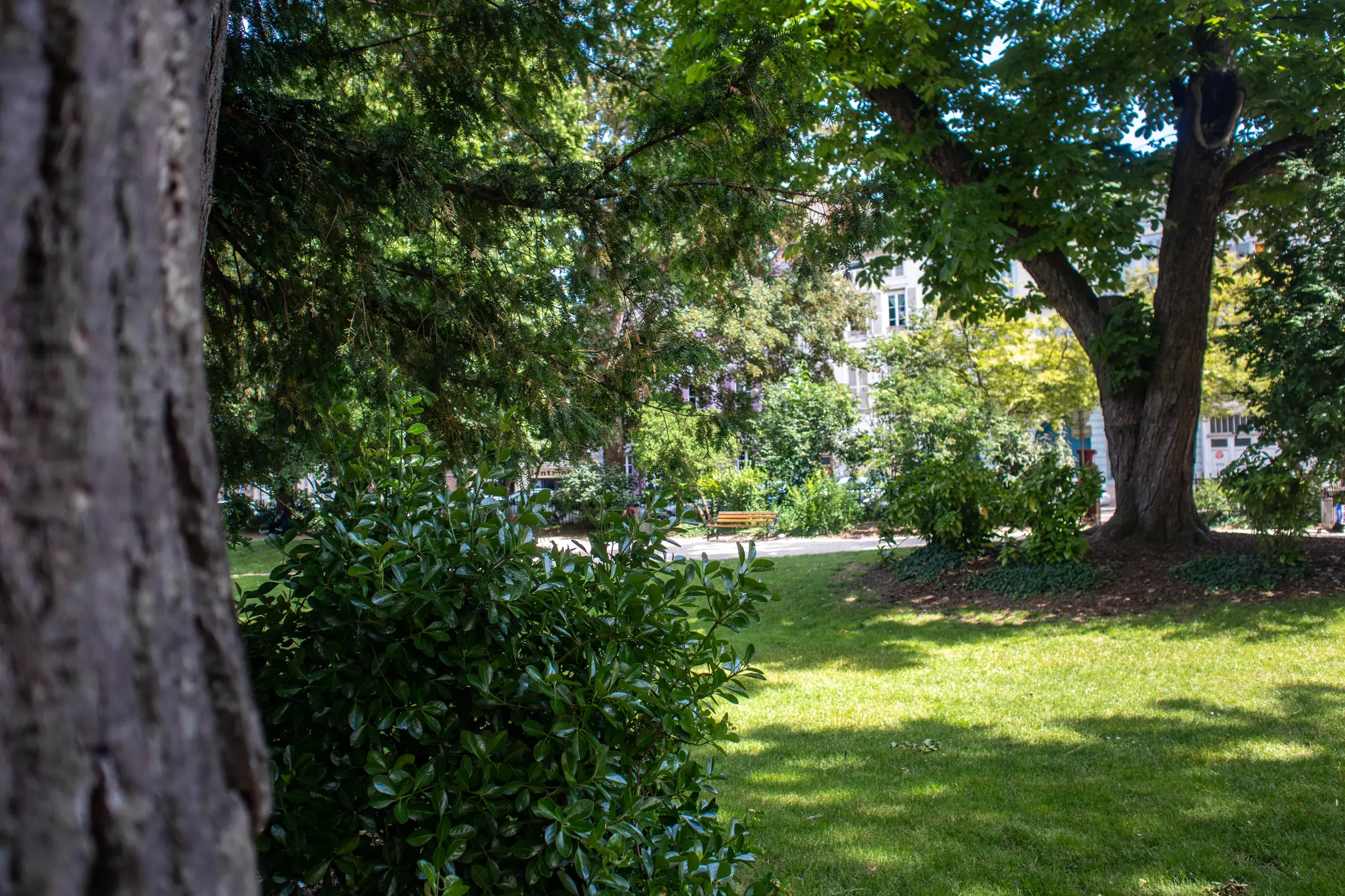 Rendez-vous aux jardins - Visite guidée « Les jardins du XIXe siècle »