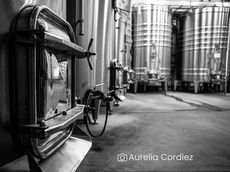 Visite-dégustation : Visite du domaine aux origines de l'appellation