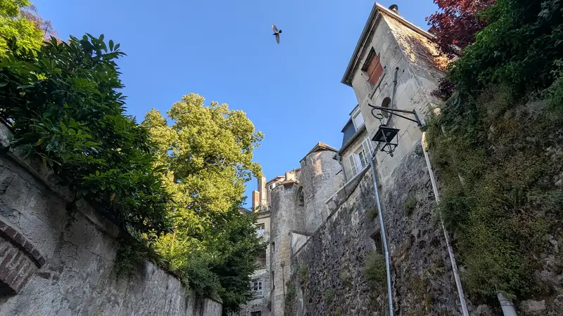 Porte des Chenizelles