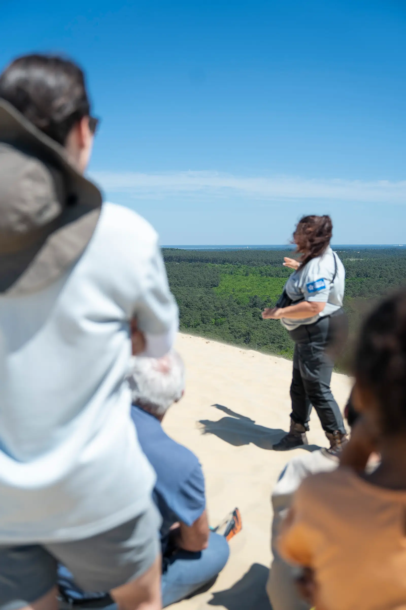 Balade nature : La migration des oiseaux à la Dune du Pilat