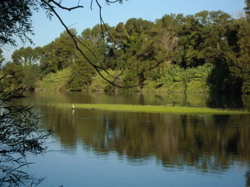BALADE NATURE GUIDEE AU MAS LARRIEU