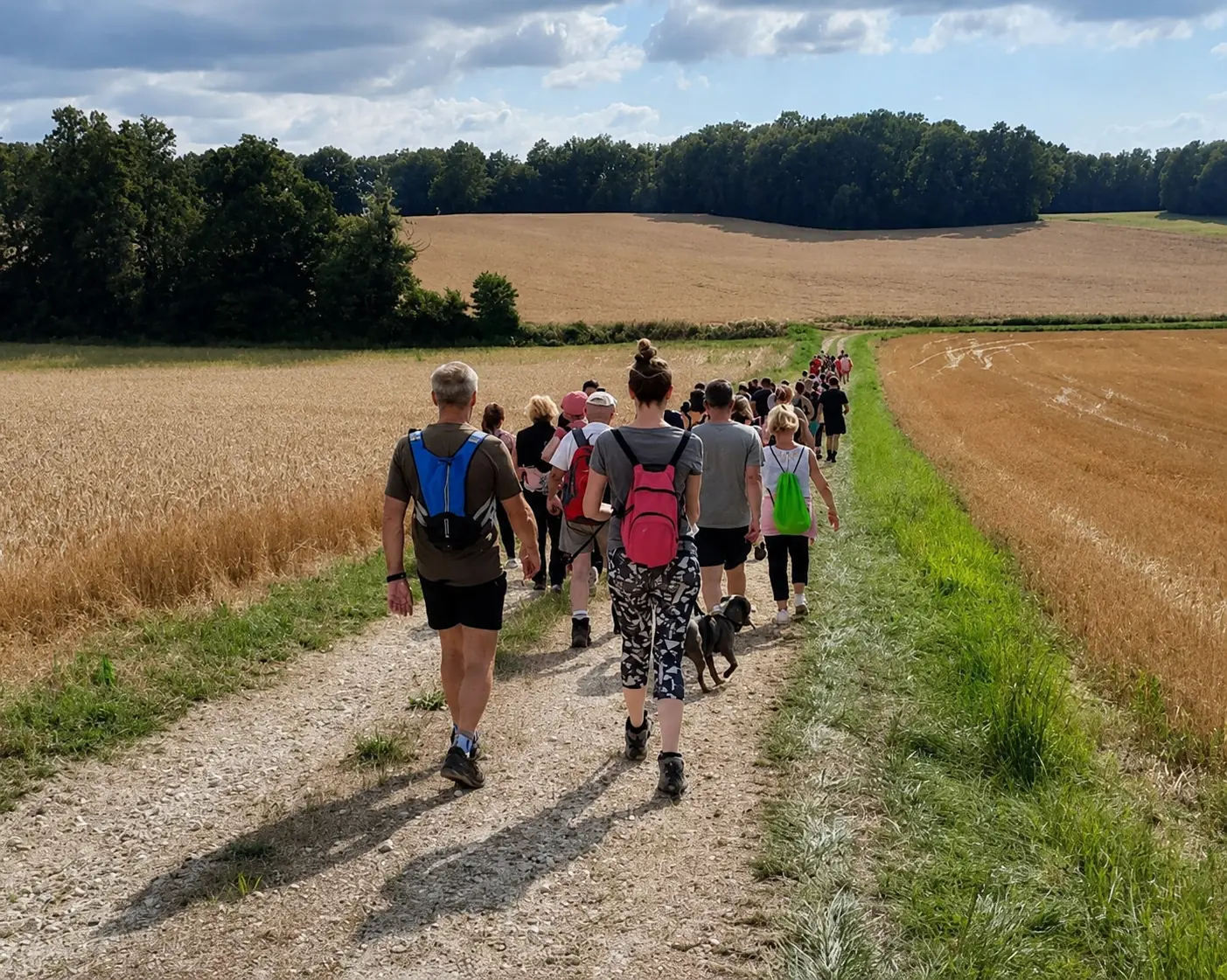 Promenade et repas grillades
