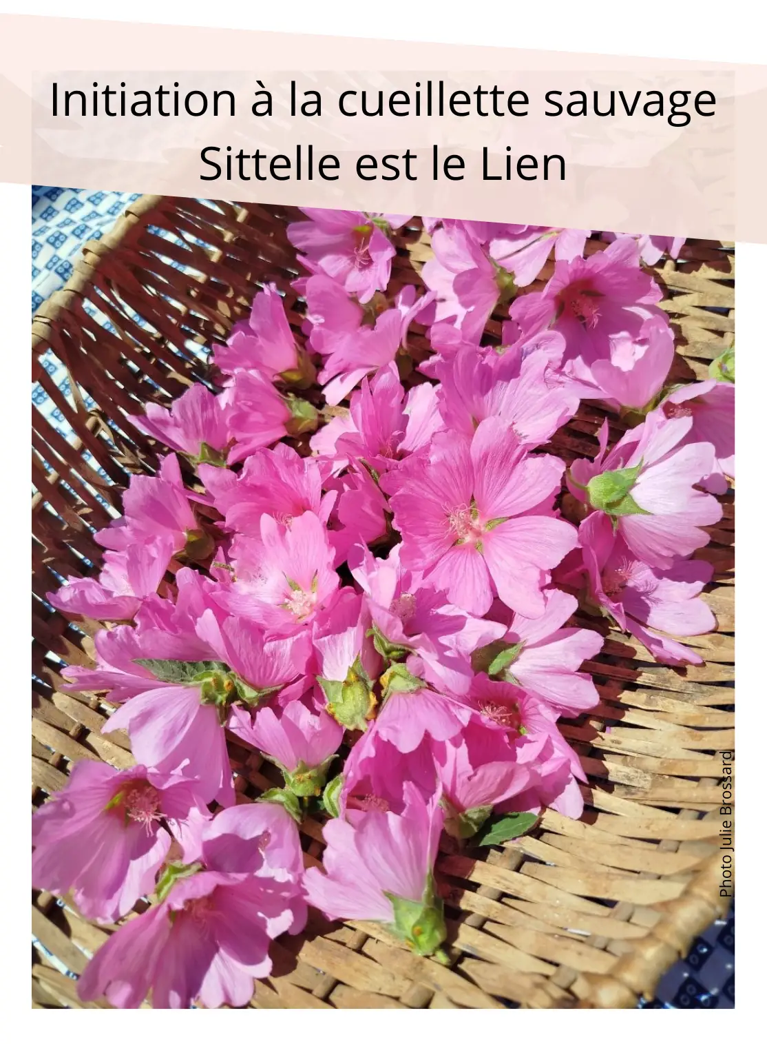 Atelier de transformation de plantes