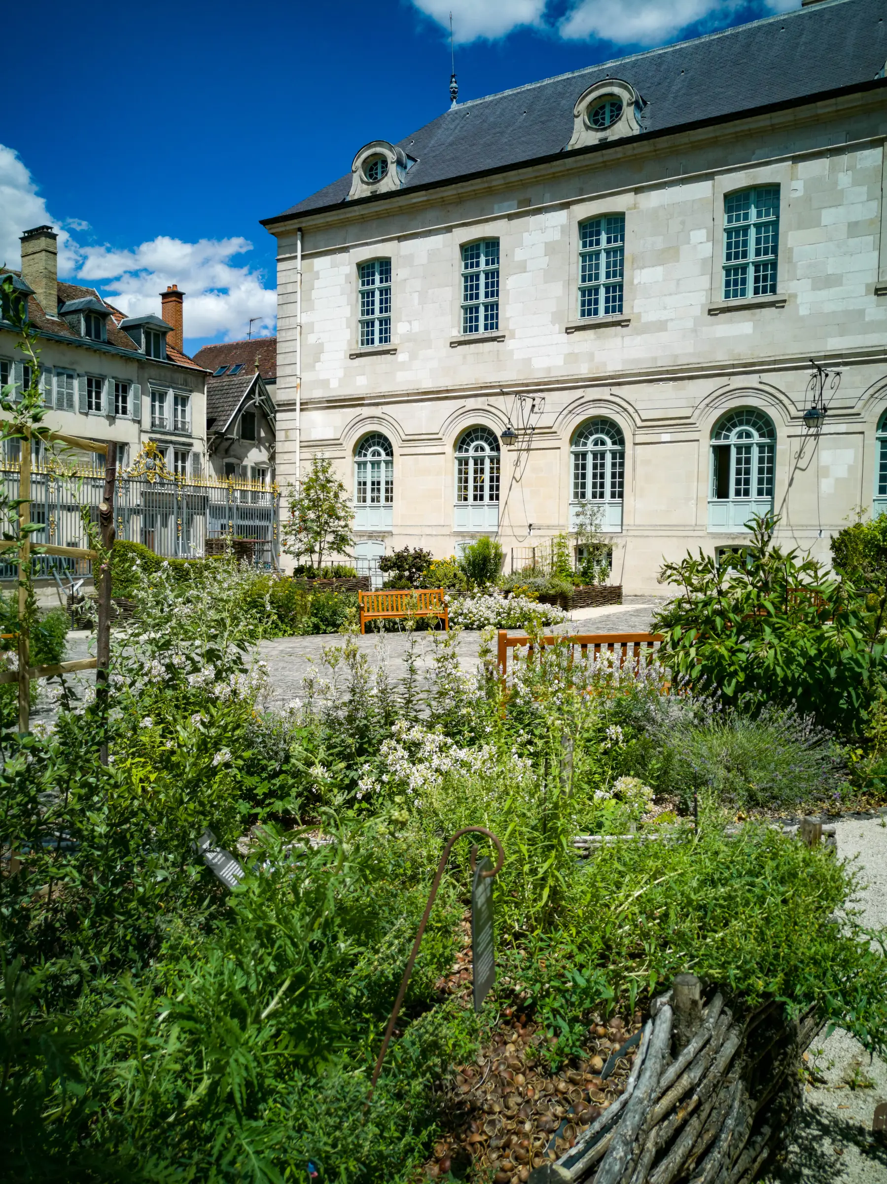 Visite nature - Remèdes et plantes du Moyen Age