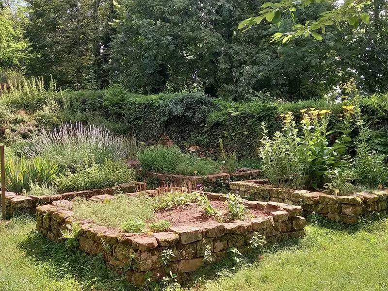 Découverte des châteaux d'Ottrott