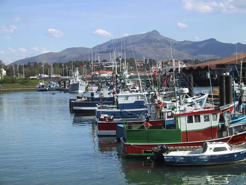 Le Port de Saint Jean de Luz