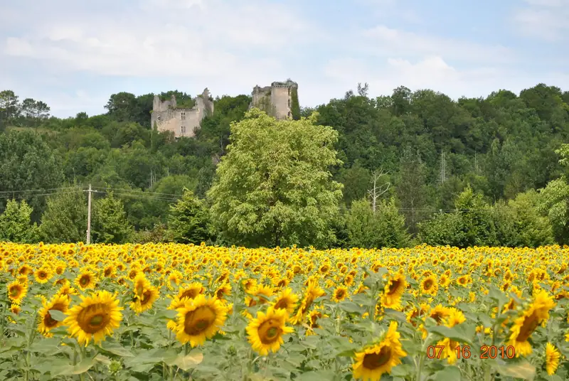 Château de Bruzac