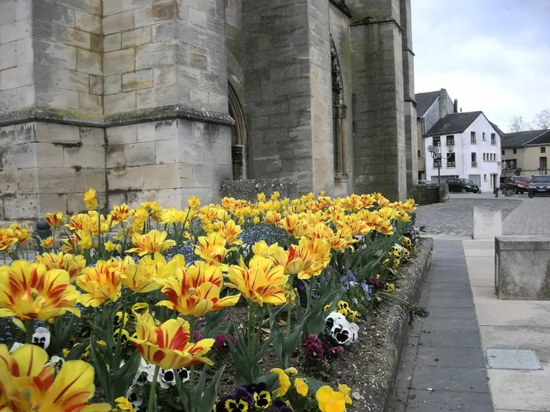 MOUZON, Ville Fleurie "2 Fleurs"