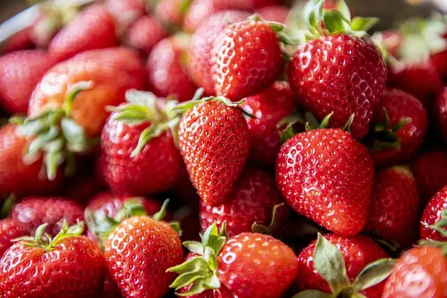 Fête de la fraise
