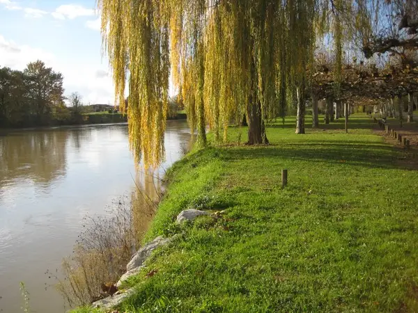 Bastide de Grenade-sur-l'Adour