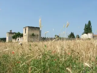 Ruines du Château de Saint-Cricq
