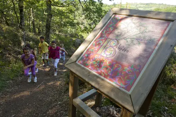 Balade contée sur le sentier de l'imaginaire et ateliers enfants à la maison du bois : le miel et ses secrets